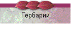 Гербарии